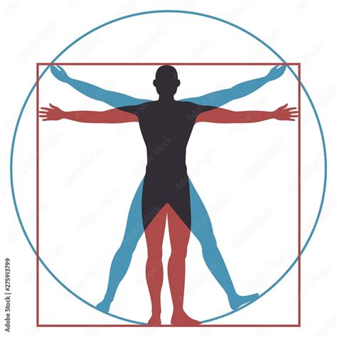 Human Body Diagram Man Body Organs Location Chart Bodenswasuee