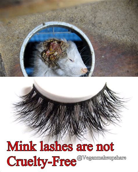 Mink Lashes Are Not Cruelty Free Girliegirl Army