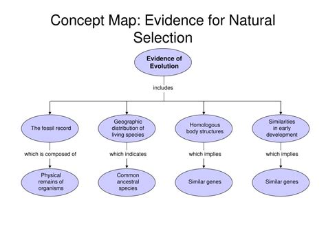 Concept Map What Is The Theory Of Evolution By Natural Selection Map