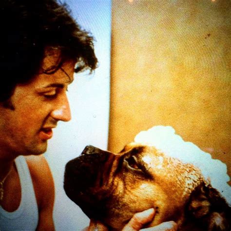 In 1971 The Young Sylvester Stallone Sold His Dog For 40 When He Was