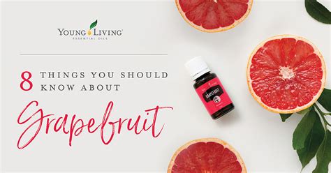 8 Things You Should Know About Grapefruit Essential Oil Young Living