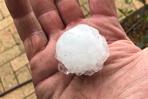 Violent Storms Lash Sydney Giant Sized Hailstones Pelt Down Across The