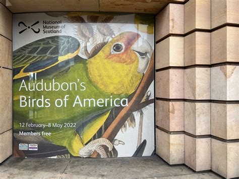 Audubons Birds Of America The Bear And The Fox