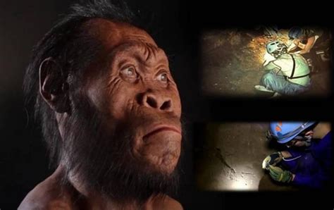 New Human Ancestor Discovered Homo Naledi Exclusive Video Ufo