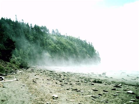 Hopewell Rocks Beach Mist By Collecting Stocks On Deviantart