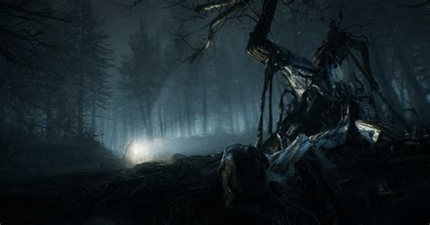 One More Trailer For The Blair Witch Video Game Promises