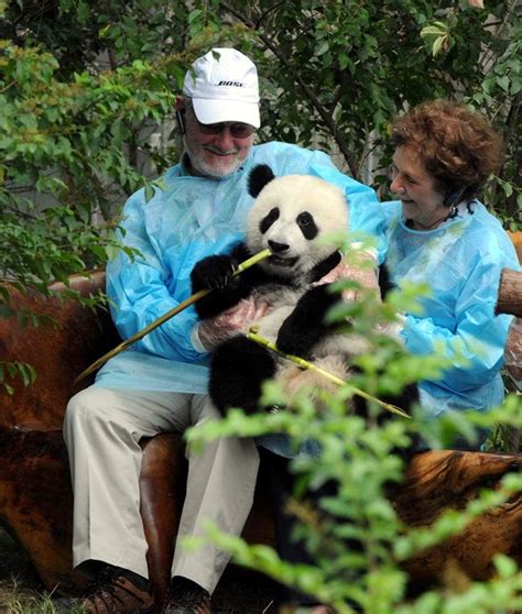 Chengdu Panda Breeding And Research Base Travel China