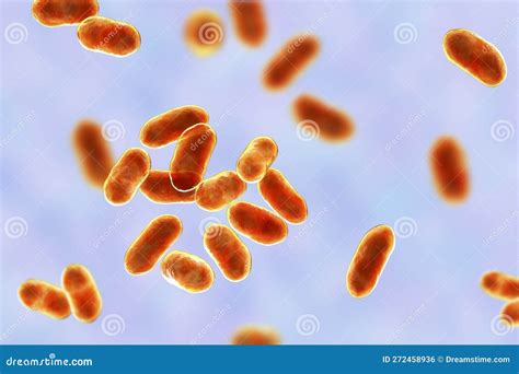 Prevotella Bacteria 3d Illustration Gram Negative Anaerobic Bacteria