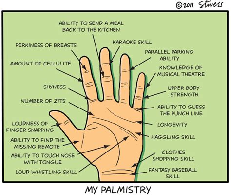 My Palmistry Mark Stivers Palmistry Palmistry Reading Palm