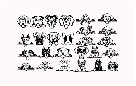26 Hunderassen Hund SVG Vektor Editierbare Druckbare Etsy