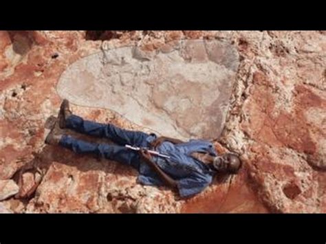 World S Biggest Dinosaur Footprint Discovered YouTube