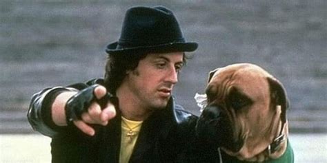 Rocky What Happened To Sylvester Stallones Dog In The Sequels