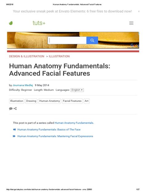 Human Anatomy Fundamentals Advanced Facial Features Pdf Eye Color