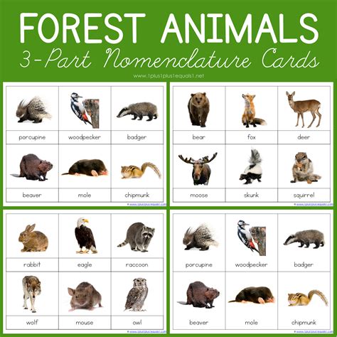 Woodland Animals Free Printables