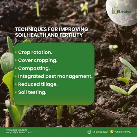 Techniques For Improving Soil Health And Fertility