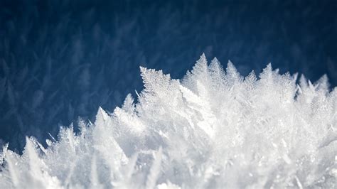 Nature Landscape Winter Snow Ice Frost Closeup Wallpapers Hd