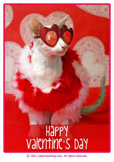 Happy Valentines Day From The Cats Meow Catster