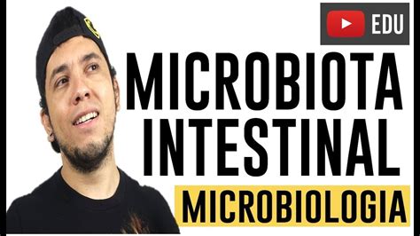 Aula 3 Microbiota Intestinal ImportÂncia Curso De Microbiologia