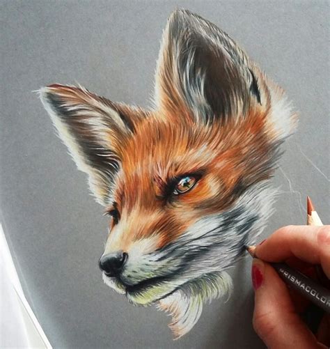 Easy techniques for drawing people, animals and more. Prismacolor Realistic Fox Drawing | 3d art drawing, Animal ...