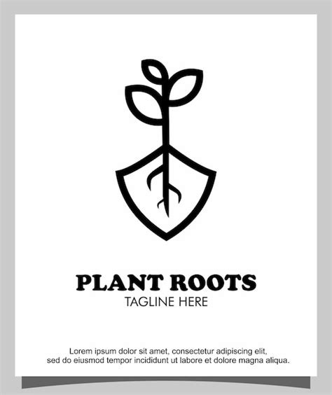 Premium Vector Vector Plant And Root Logo Design