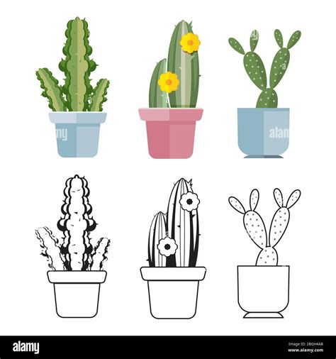 Hand Drawn And Colored Cartoon Flat Cactus Of Set Vector Illustration