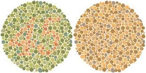 Brown Color Blindness Blinds