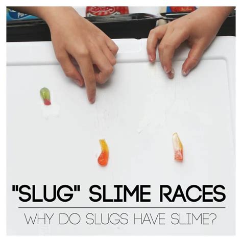 Why Do Slugs Have Slime Investigations Slime Preschool Preschool Activity Preschool Classroom