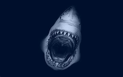 Mouth Shark Open Teeth Fangs Wallpapers Desktop
