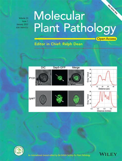 Issue Information 2022 Molecular Plant Pathology Wiley Online Library