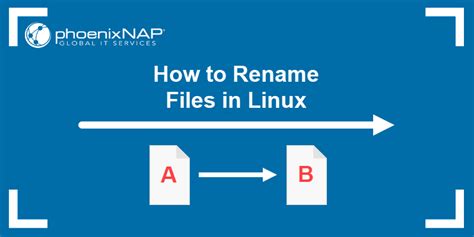 How To Rename All File In Linux Posetke