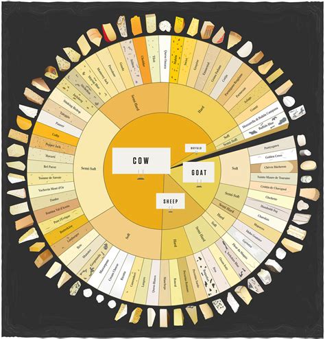 Clear Lake Wine Tasting Cool Infographics From Pop Chart Lab