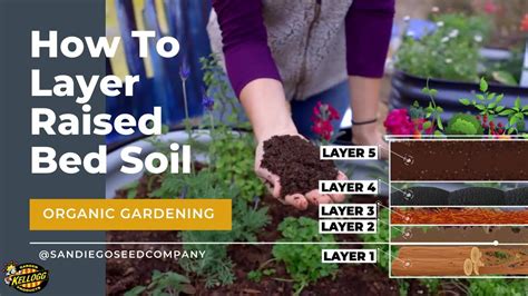 Layering Soil In A Raised Garden Bed Youtube