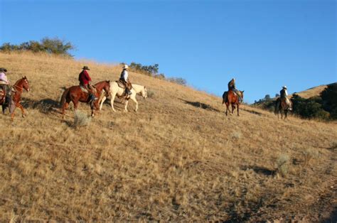 Riding The Hunting Trails At Tejon Ranch Hunting Riding Animals