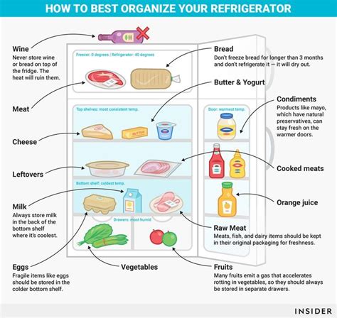 How To Organize Your Refrigerator Graphic Refrigerator Organization