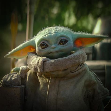 Ruhig Belästigung Jahr Star Wars Baby Yoda Komplexität Validierung Geschäft