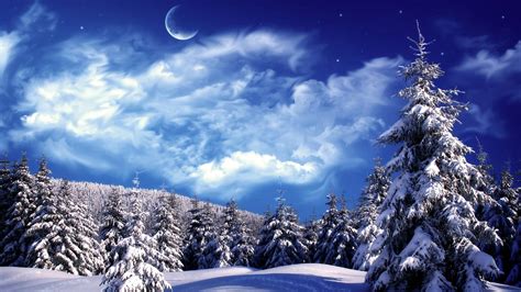 Winter Wonderland Wallpapers Top Free Winter Wonderland Backgrounds