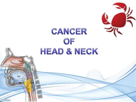 Cancer Of Head And Neck Basics