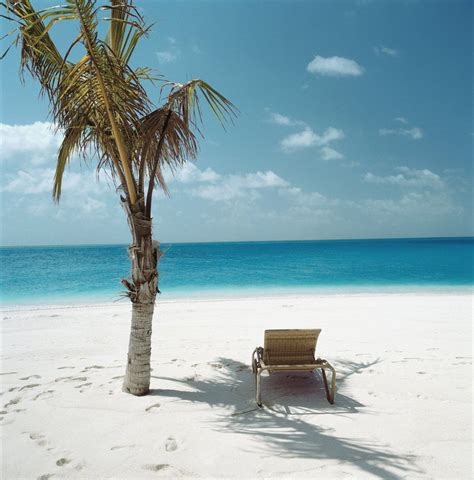 Palm Tree And Beach Chair Posters And Prints By Corbis