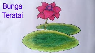 Silahkan download gambar bunga teratai #1 dibawah ini. Mewarnai Kolam Bunga Teratai : ← kumpulan mewarnai gambar ...