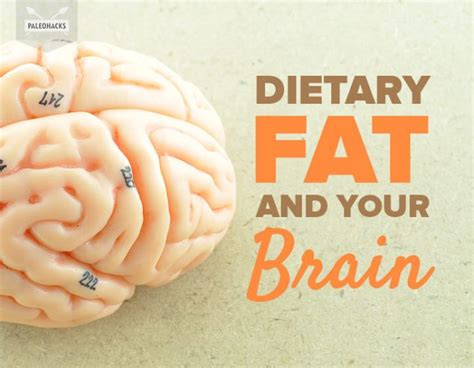 Dietary Fat And Your Brain Paleohacks Blog