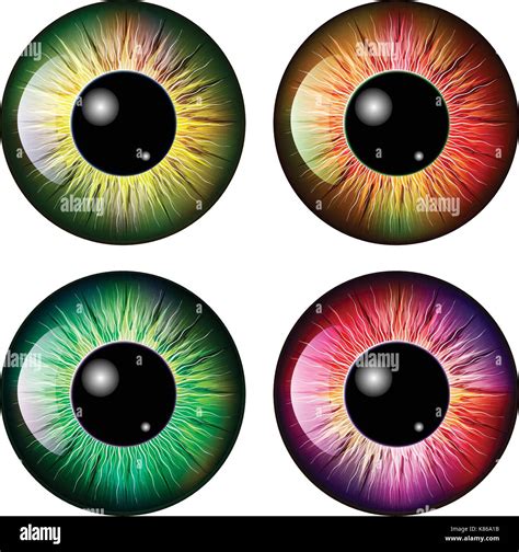 Eye Pupil Iris Vector Symbol Icon Design Beautiful Illustration