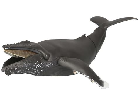 Sofubi Toy Box 013 Whale Humpback Whale By Kaiyodo Hobbylink Japan
