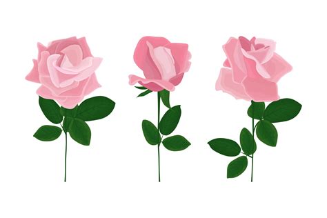 Pink Roses Cartoon Set Of Illustrations 8631968 Vector Art At Vecteezy