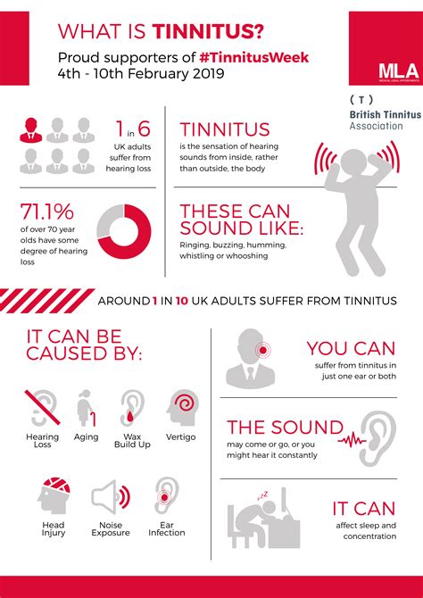 What Is Tinnitus Infographic