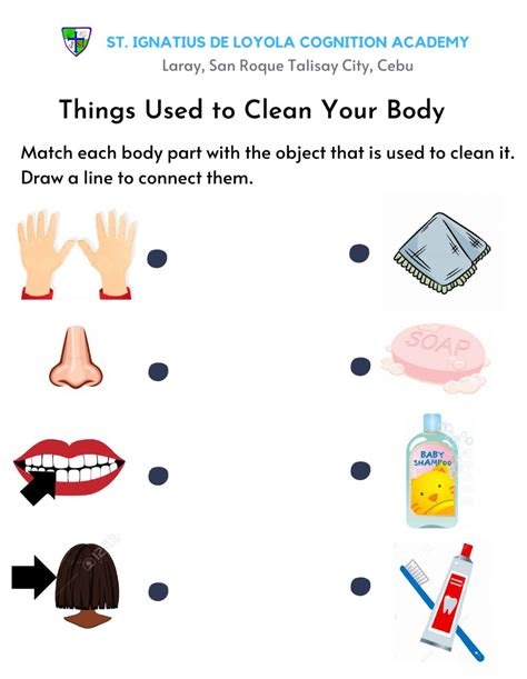 Things Used To Clean Your Body Worksheet