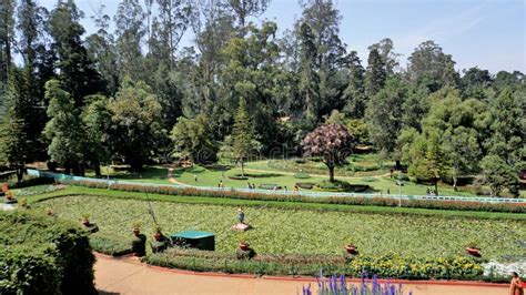Beautiful Government Botanical Gardens In Ooty Tamilnadu India