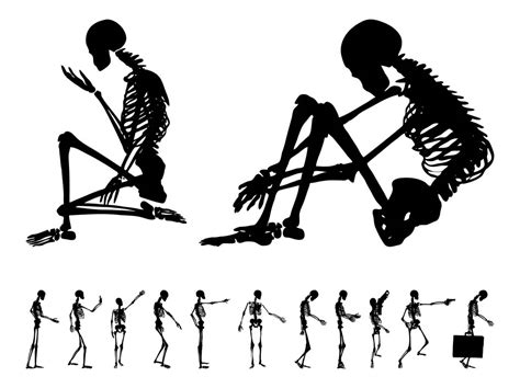 Human Skeleton Set Vector Art And Graphics
