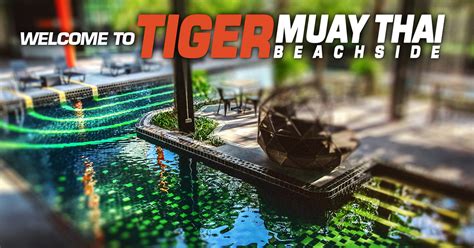 muay thai mma and fitness training at the new tiger muay thai beachside