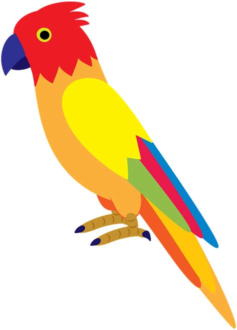 Parrot Clipart Safari Parrot Png Vector Cliparts And Cartoons Jingfm