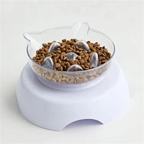 I absolutely love these bowls. Orthopedic Cat Bowl & Slow Feeder 2-in-1 [Anti-Vomiting ...